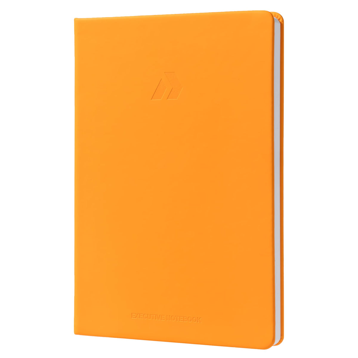 Nextnoid Lined Notebook Journal for Men - 120 GSM Thick Paper - 160 Pages - A5 Hardcover Notebook for Work - Ideal for Writing, Journaling, and Note-Taking (Black)