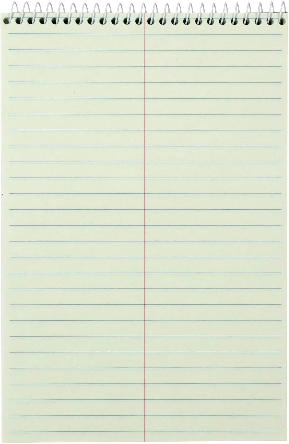 Amazon Basics Steno Notebooks, Gregg Rule, Green Paper for Notes, 80 Sheets, 6" x 9", 12-Pack